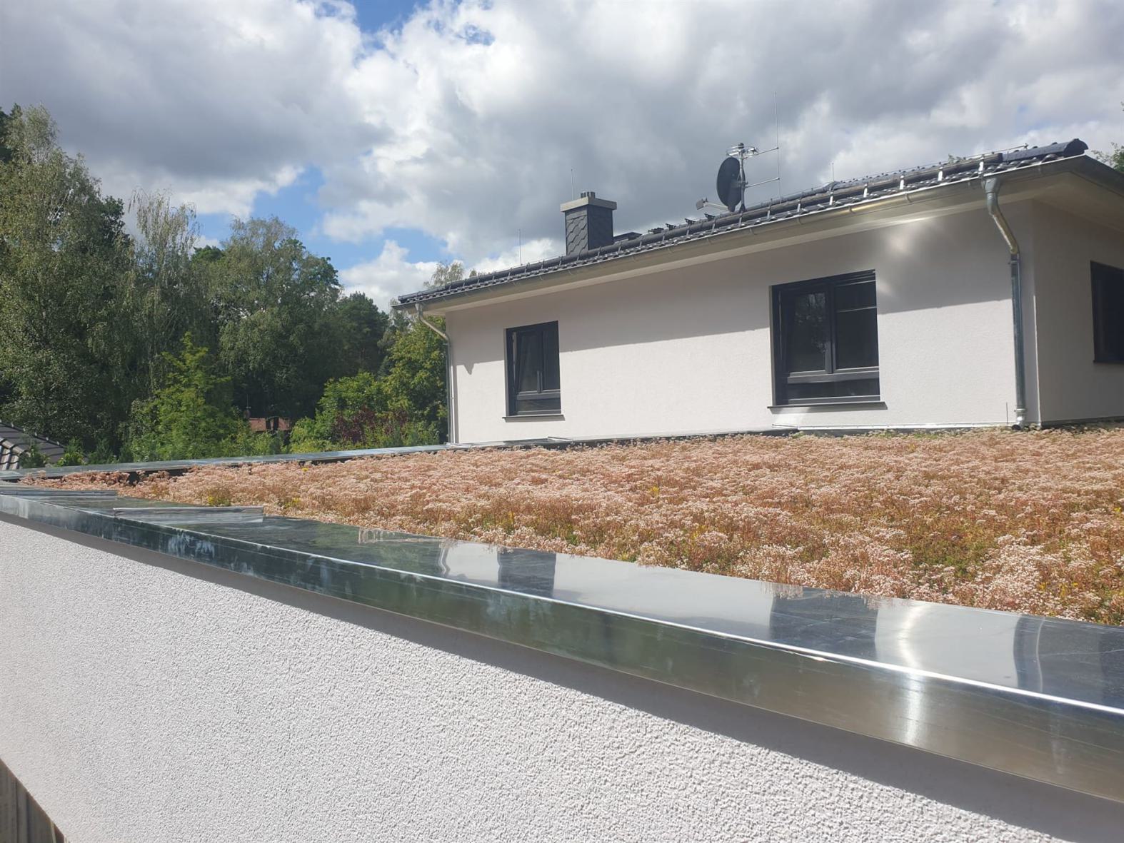 gruendach-dacheindeckung-dachabu-zimmerei-flemming-001