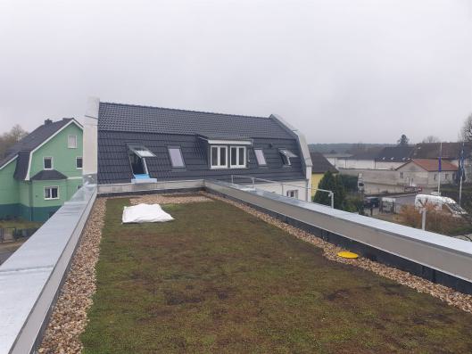 gruendach-dacheindeckung-dachabu-zimmerei-flemming-003