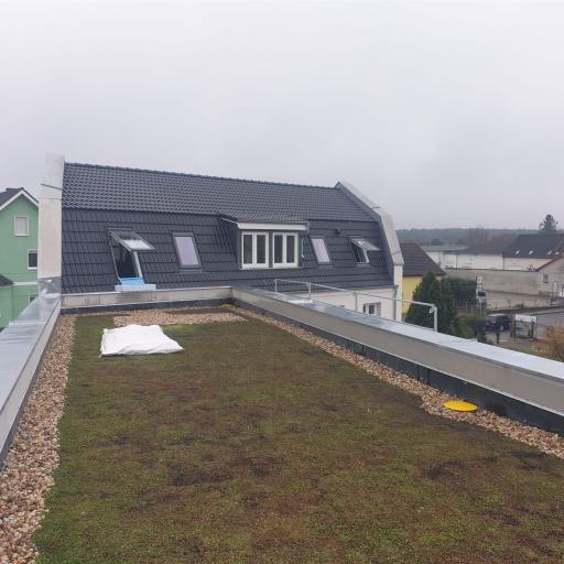 gruendach-dacheindeckung-dachabu-zimmerei-flemming-003